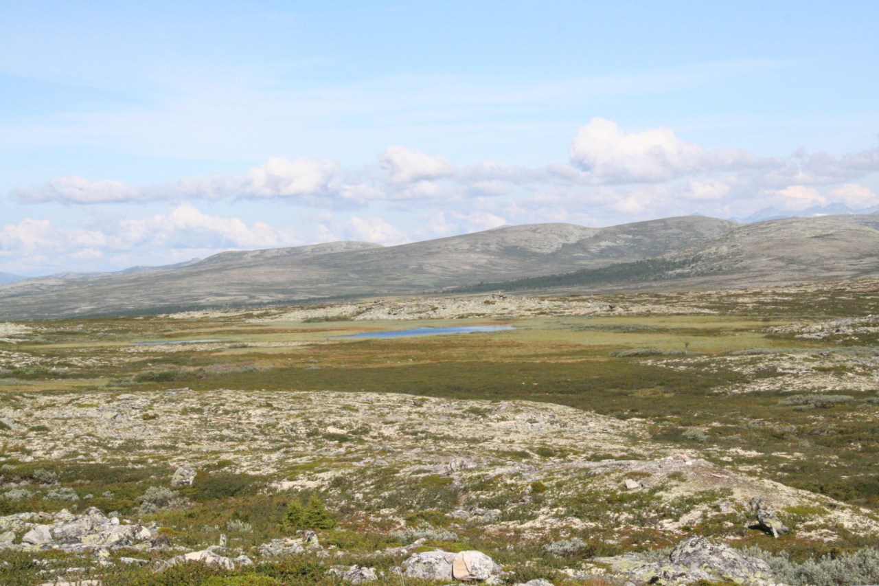 Noorwegen, zomer 2011