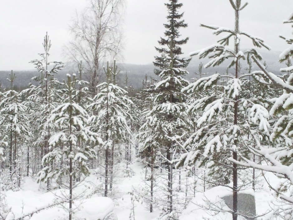 uitzicht vanaf pilgrimsveien