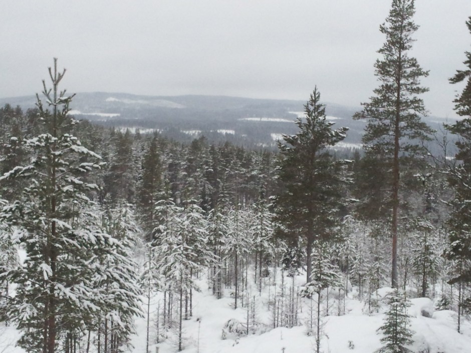 uitzicht vanaf pilgrimsveien2