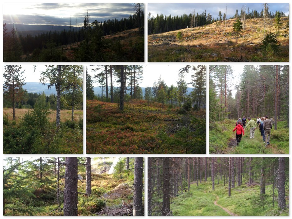 2Wandeling skjærberget