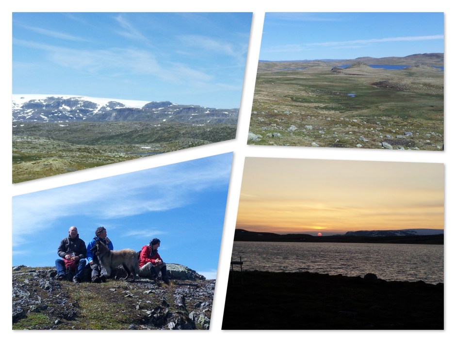 Hardangervidda2