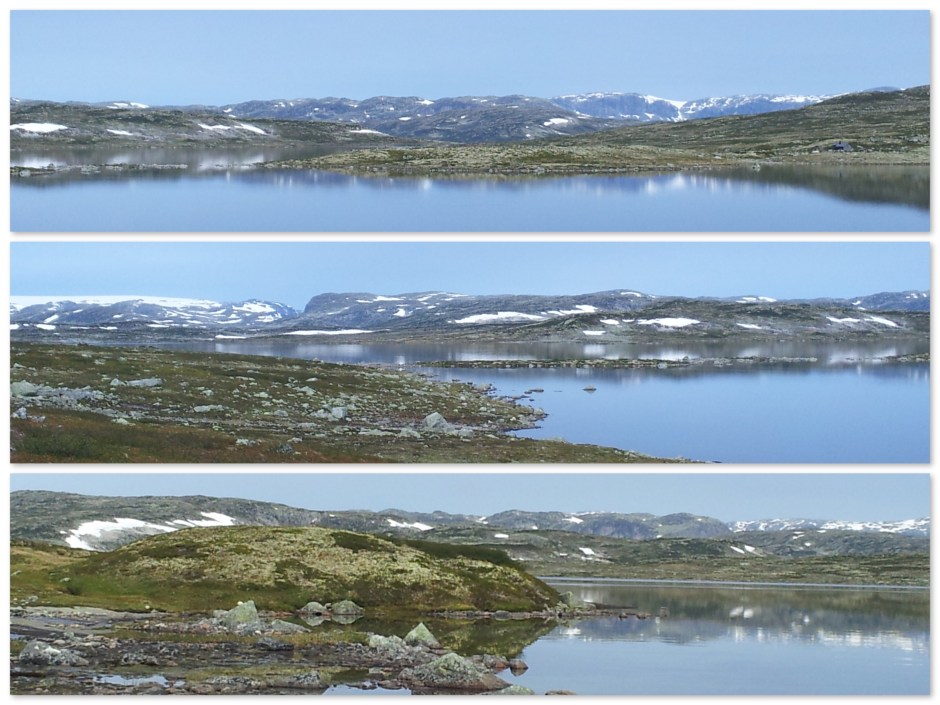 Hardangervidda3