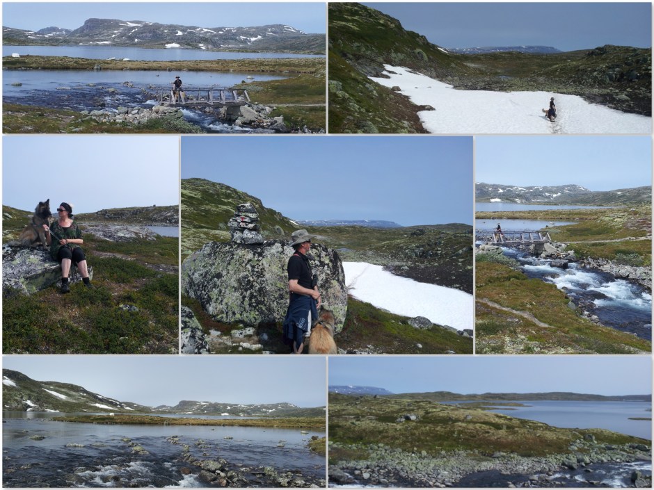 Hardangervidda4