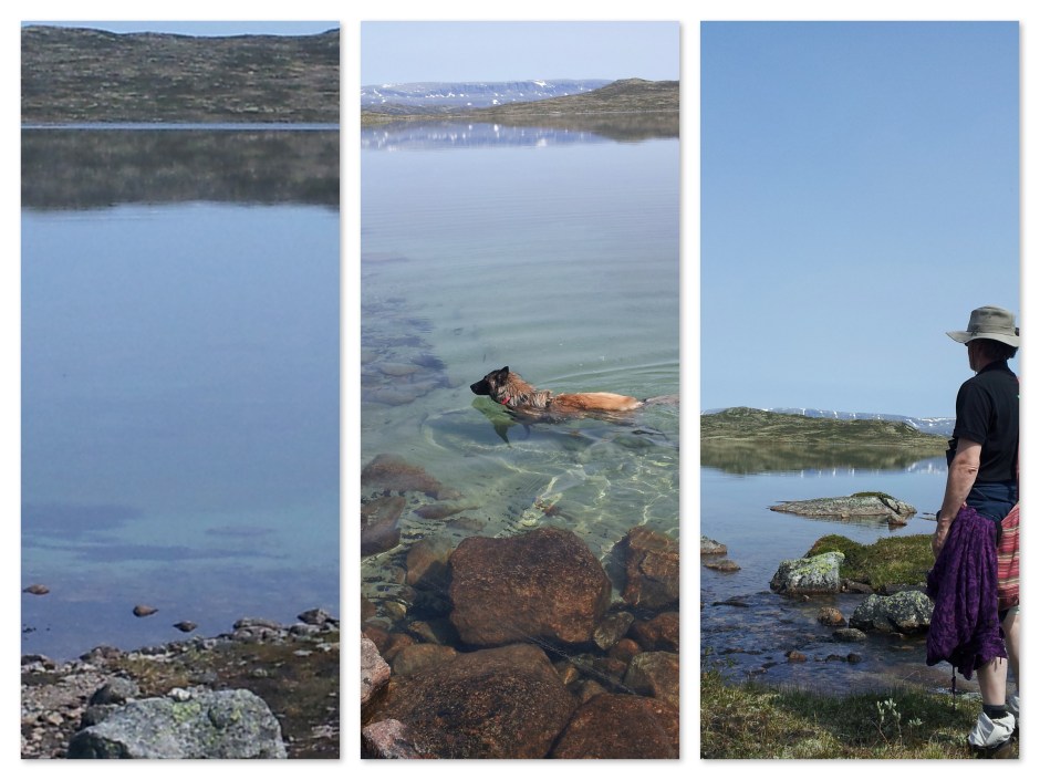 HelderwaterHardangervidda