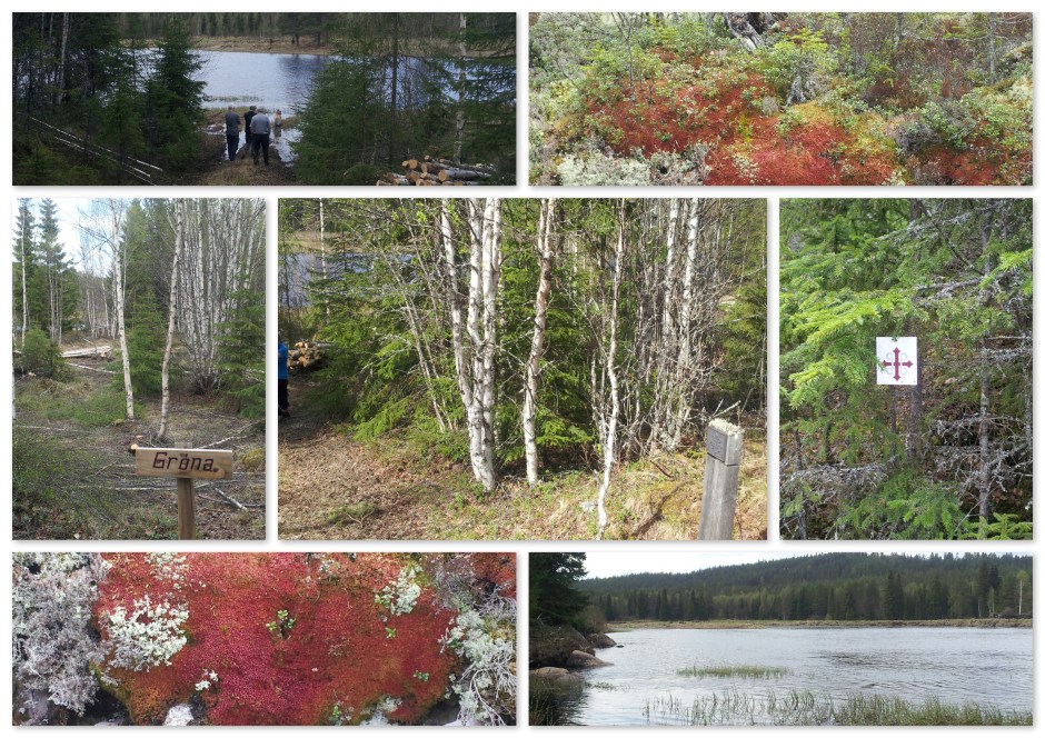 met de buren naar de Grøna