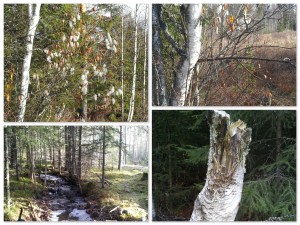 wandeling gapahukke school