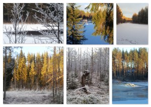 zomaar een wandeling