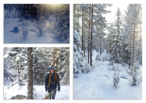 4pilgrimsveidoorhetbos