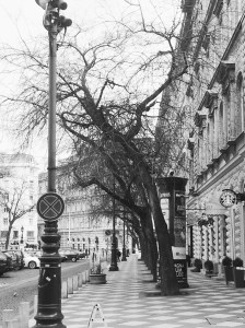 Processed with VSCOcam with b1 preset