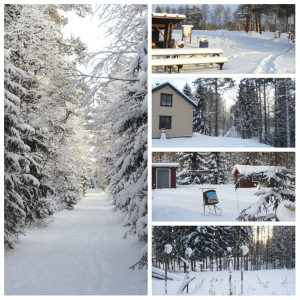 zon in Lutnes januari 14