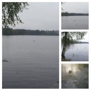 24meiBirkverjaagteenden