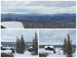 2FageråsenInekeenzo