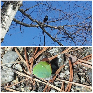 9indelucht:opdegrond