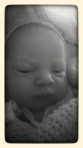 10366292_10154337667540433_7615540435683719191_n