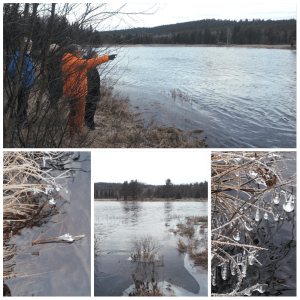 6bezichtiging Grøna