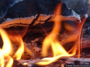 Jan WIllem en Heleen en Kids-15