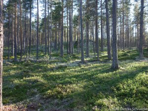 Jan WIllem en Heleen en Kids-16