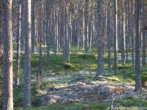 Jan WIllem en Heleen en Kids-17