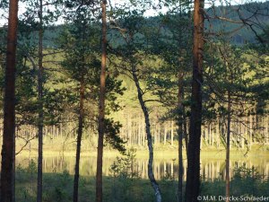 Jan WIllem en Heleen en Kids-20