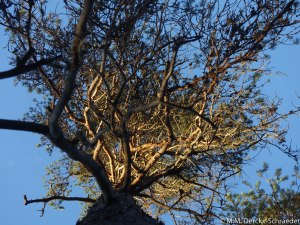 Jan WIllem en Heleen en Kids-22