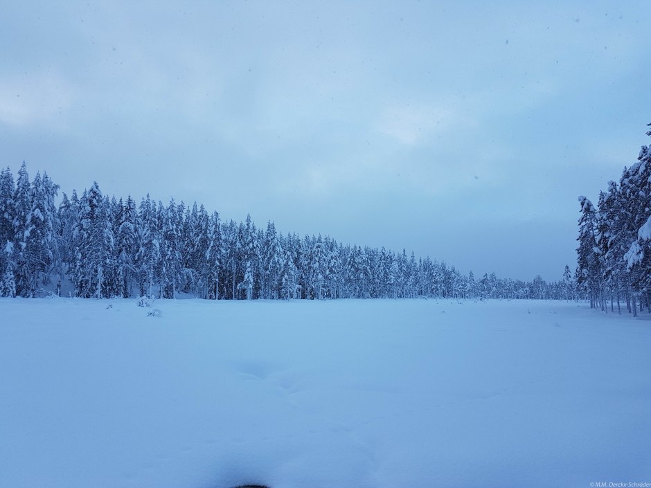 20180101-20180101_135512